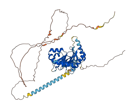 RSL1D1 3D structure
