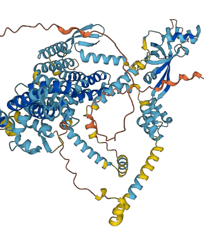 WFS1 3D structure