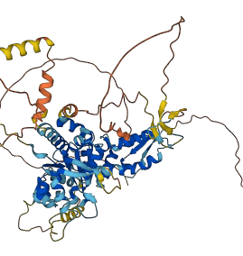 CLPX 3D structure