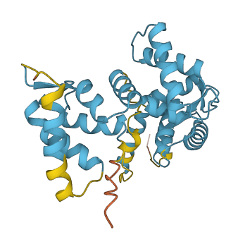 SCGN 3D structure