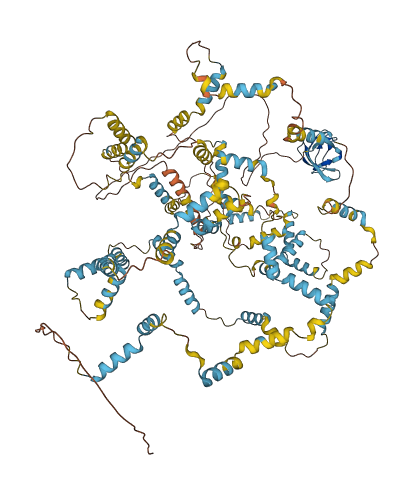 NEBL 3D structure