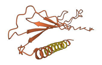 ERC2-IT1 3D structure