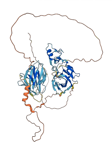 NEURL1 3D structure