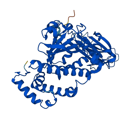 SEC14L2 3D structure