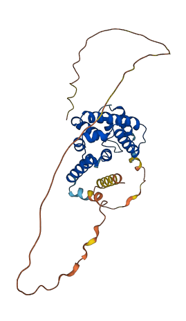 STC2 3D structure