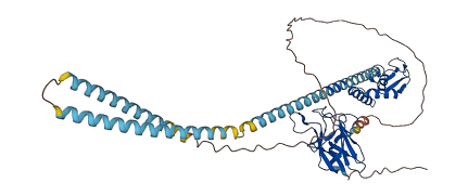 RNF8 3D structure