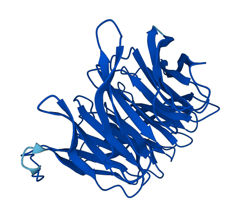 CIAO1 3D structure