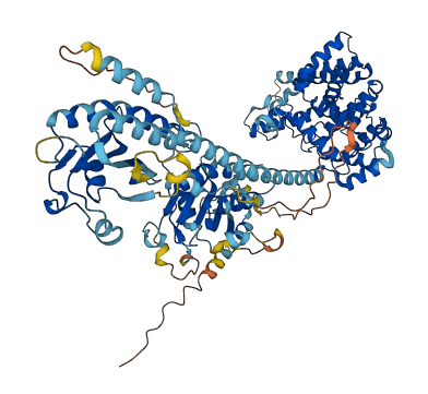 PDE5A 3D structure