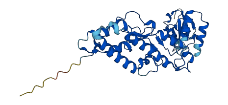 DFFB 3D structure