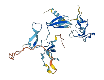 CCN5 3D structure