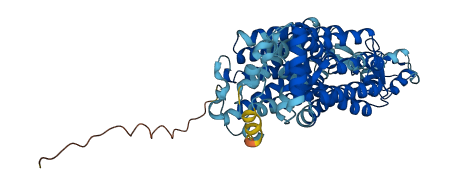 SLC22A5 3D structure