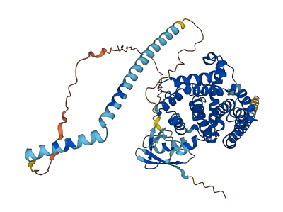 PDE9A 3D structure