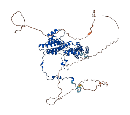 BEST1 3D structure
