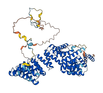 SRP72 3D structure