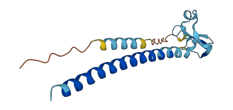 JTB 3D structure