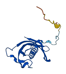 CST7 3D structure