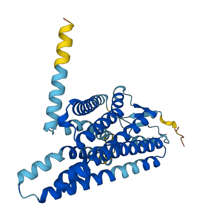 OR7C1 3D structure