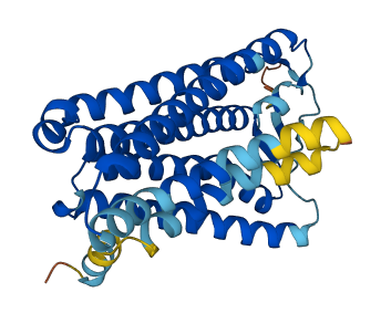 OR7A10 3D structure