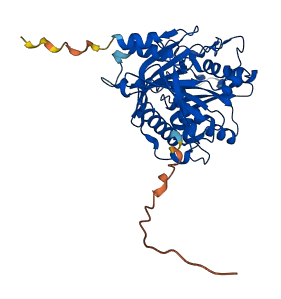 DXO 3D structure