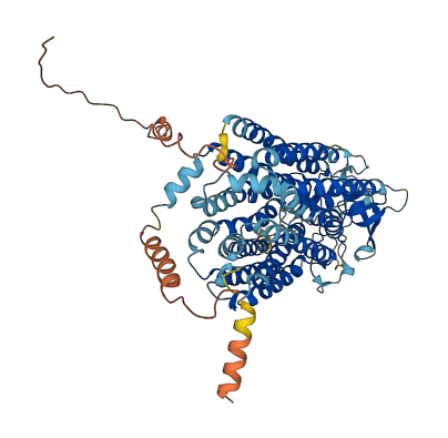 Slco1a5 3D structure