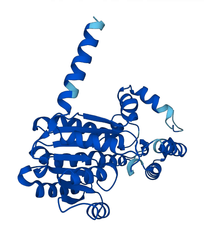 Rdh7 3D structure