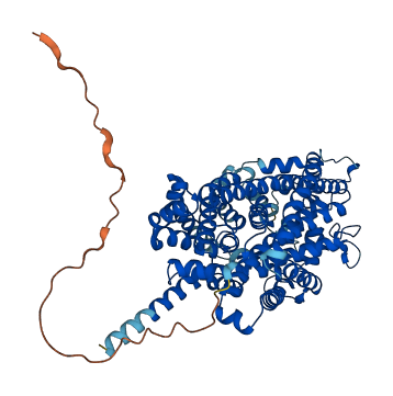 Slc6a20b 3D structure
