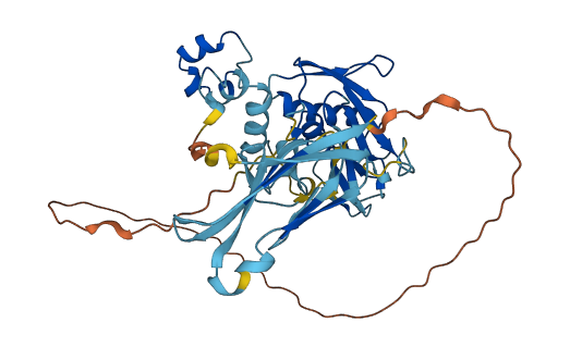 Mmp23 3D structure