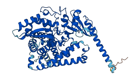 Cyp4a10 3D structure