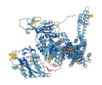 TRPM2 3D structure