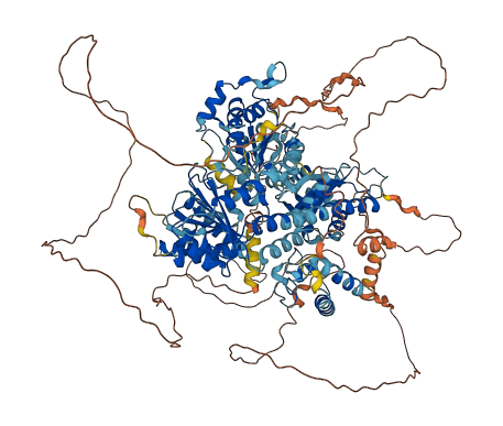 RECQL4 3D structure