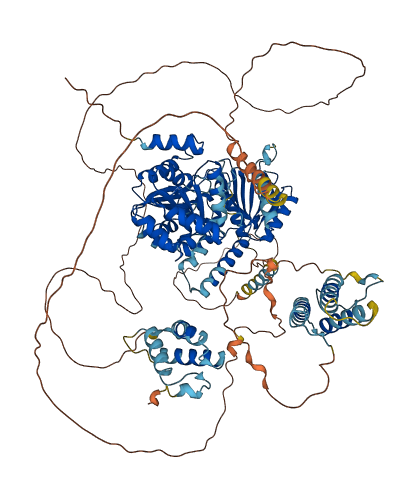 RECQL5 3D structure