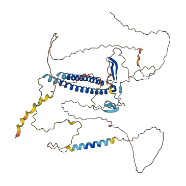 URI1 3D structure