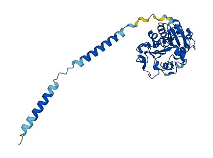 B3GAT3 3D structure