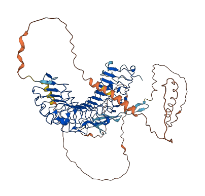 ECM2 3D structure