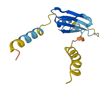 LY6H 3D structure