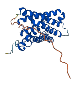 AQP8 3D structure