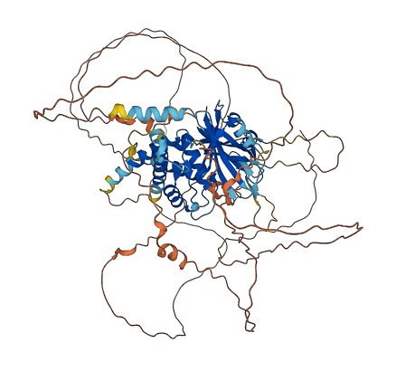 USP1 3D structure