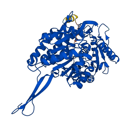 ALDH1A2 3D structure