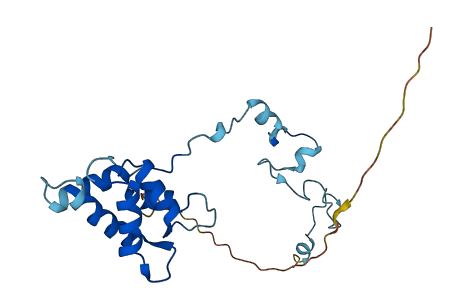 TPPP 3D structure