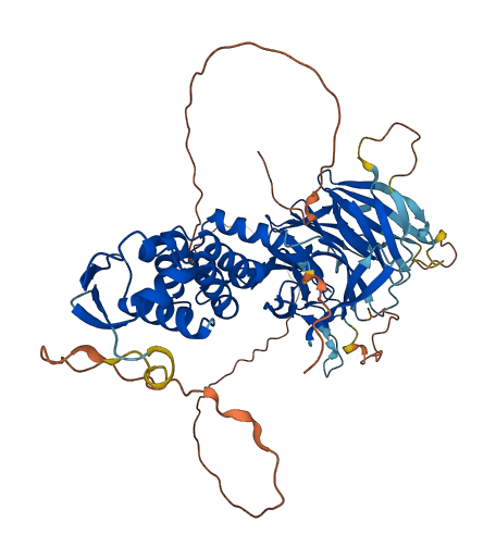 KBTBD11 3D structure