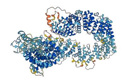 LTN1 3D structure