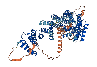 TOMM70 3D structure
