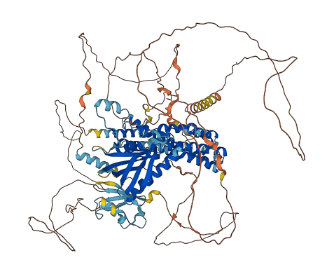 PLEKHG5 3D structure