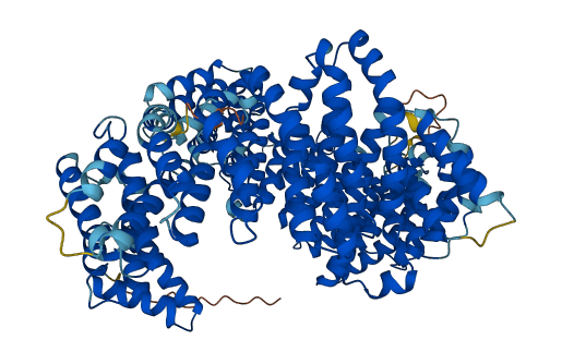 IPO13 3D structure