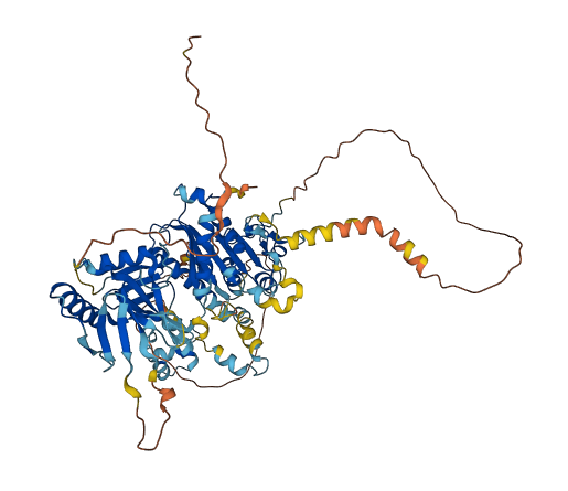 DDHD2 3D structure