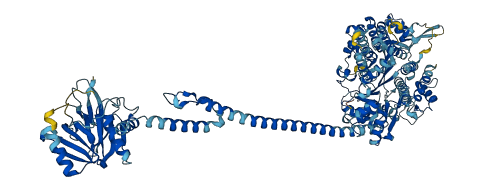 MYO1D 3D structure