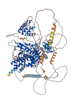 MICAL2 3D structure