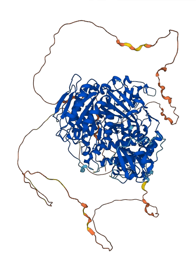 SEC24D 3D structure
