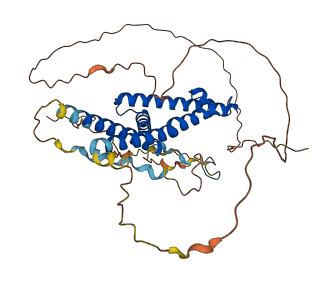 SUPT7L 3D structure