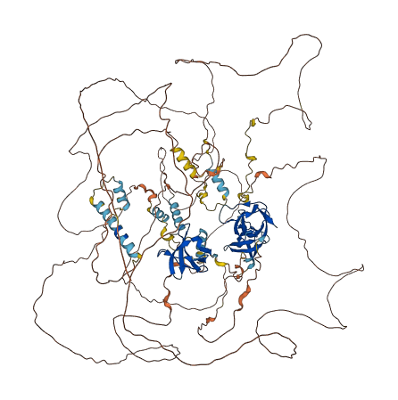 SORBS2 3D structure